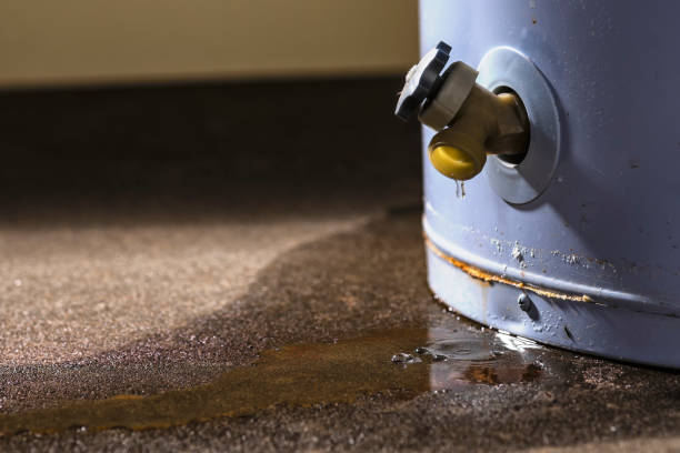 Carpet water damage restoration in Alpine, CA