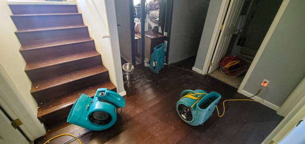 Best Water damage contractors near me  in Alpine, CA