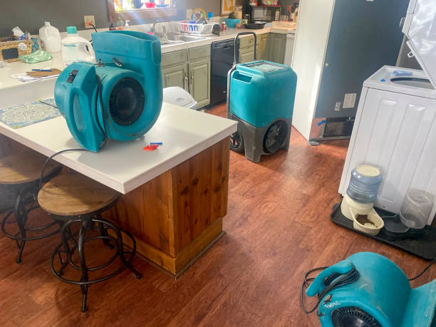Best Basement water damage restoration  in Alpine, CA