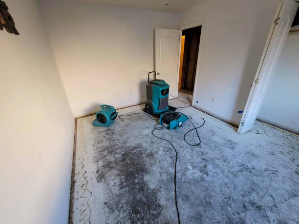 Best Water damage restoration cost  in Alpine, CA