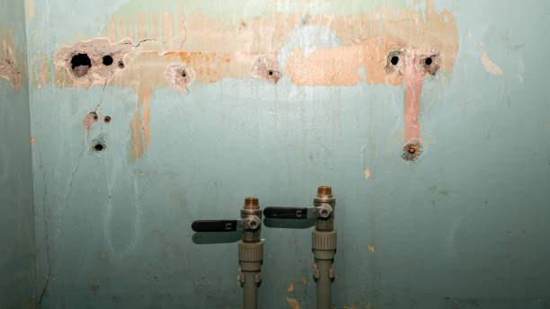 Best 24/7 water damage repair  in Alpine, CA