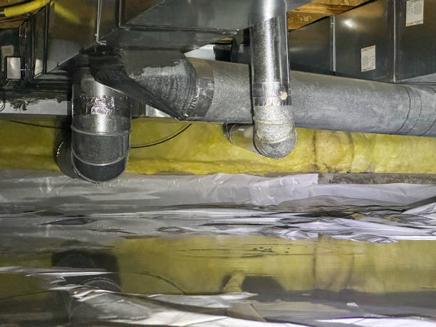 Best Residential water damage restoration  in Alpine, CA