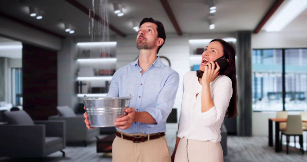 Best Mold removal after water damage  in Alpine, CA