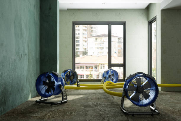 Best 24-hour water damage restoration  in Alpine, CA