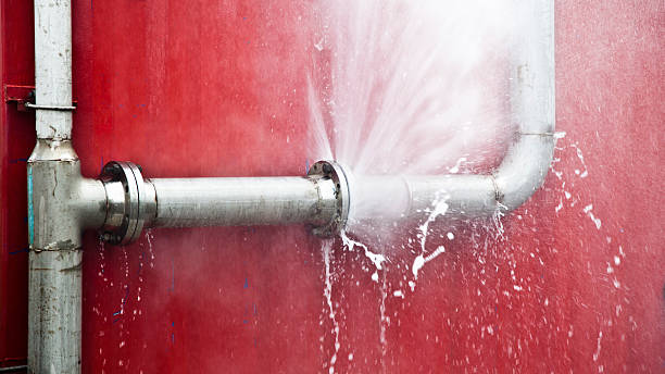 Water damage restoration mold remediation in Alpine, CA